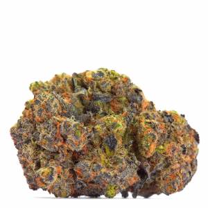 Growers Choice - San Fernando Valley x The Purps