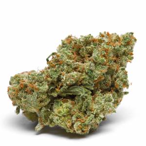 Growers Choice - The Real Amnesia