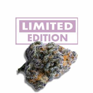 Growers Choice - Platinum Mimosa Cookies Double XL Autoflower