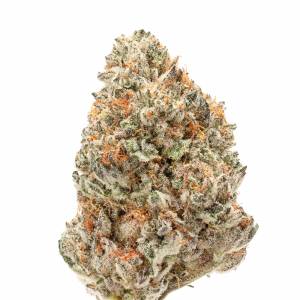 Growers Choice - Watermelon Weddingcake Double XL