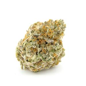 Growers Choice - Forbidden Runtz
