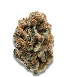 Growers Choice - KO Kush