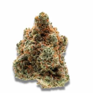 Growers Choice - Monkey Glue