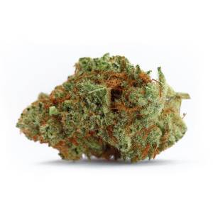 Growers Choice - Naranja Biscotti fast version