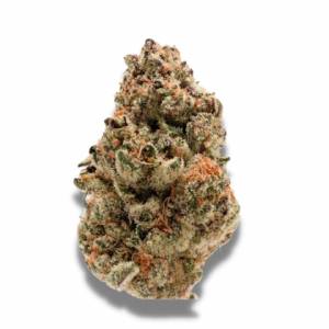 Growers Choice - Rainbow Candy