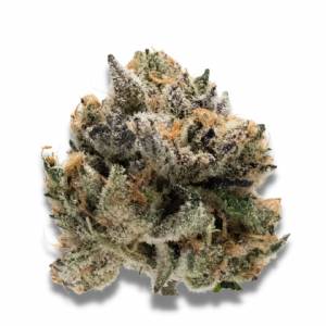 Growers Choice - Tropical Cookies