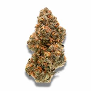 Growers Choice - Weddingcake x Frosty Gelato