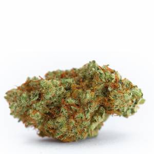 Growers Choice - White Fire Gelato