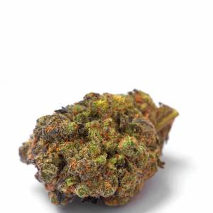 Growers Choice - Wifi Punch