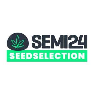 Semi24 Seedselection - Banana Hash Burger
