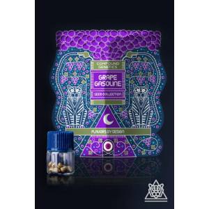 Compound Genetics - Grape Gasoline Collection - Hawaiian Sunkist - 7 fem