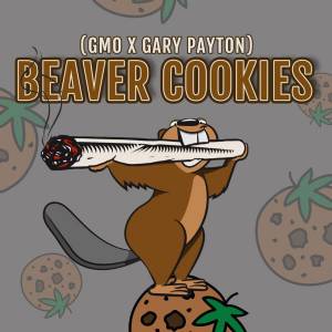 Elev8 Seeds - Beaver Cookies
