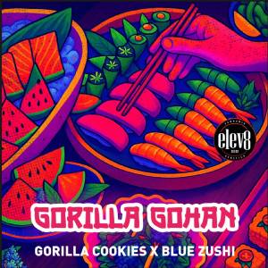 Elev8 Seeds - Gorilla Gohan - 6 fem