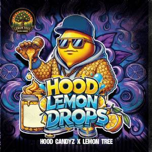 Elev8 Seeds - Hood Lemon Drops - 3 fem
