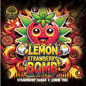 Elev8 Seeds - Lemon Strawberry Bomb - 6 fem