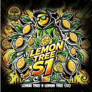 Elev8 Seeds - Lemon Tree S1 - 6 fem