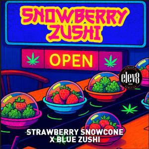 Elev8 seeds - Snowberry Zushi - 3 fem