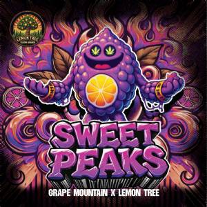 Elev8 Seeds - Sweet Peaks - 6 fem