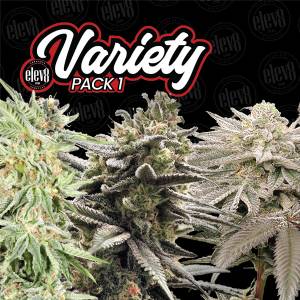 Elev8 Seeds - Variety Pack #1 - 6 fem