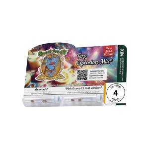 Sweet Seeds - Terp Explosion Mix - 2+2 fem