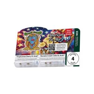 Sweet Seeds - American Pie Mix - 2+2 auto