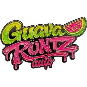 Fast Buds - Guava Runtz Auto