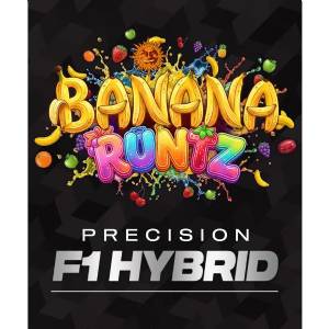 Barney s Farm - Banana Runtz