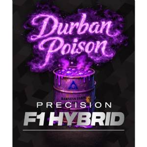 Barney s Farm - Durban Poison