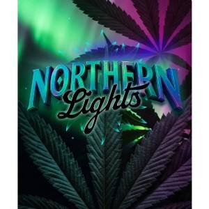 Barney s Farm - Northern Lights
