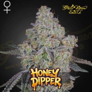 Green House Seeds - Honey Dipper