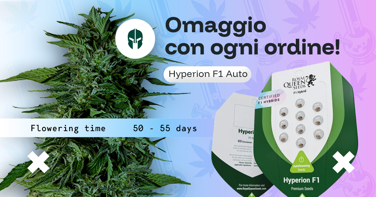 Ricevi Semi Hyperion F1 Auto in Omaggio su Semi24.it!