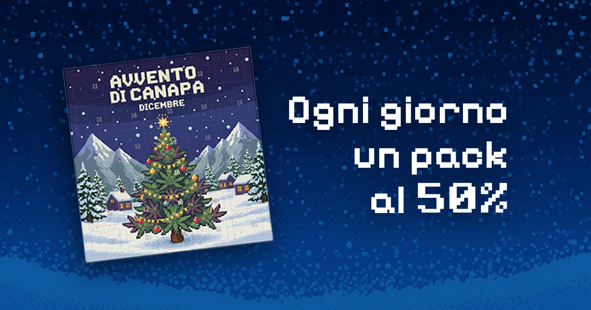 Avvento di Canapa 2025: semi da collezione al 50% ogni giorno