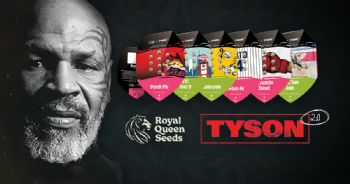 Nuova linea RQS x Tyson 2.0!