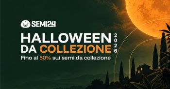 Halloween 2026 su Semi24: offerte su semi, grinder e Weedlez