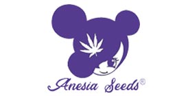 anesia-seeds
