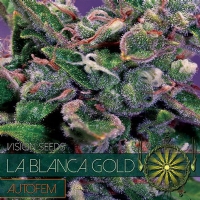 Vision Seeds - La Blanca Gold AUTO - 3 Auto