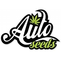 Auto Seeds - Ultra Lemon Haze - 3 fem