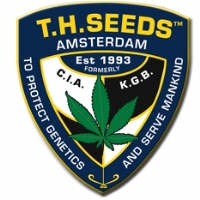 Cofanetto 20° Anniversario TH Seeds [Edizione Limitata] da 35