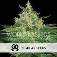 World of Seeds - Afghan Kush 10 REGULAR