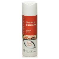 Shampoo Energizzante - canapa e ginseng 200ml - Verdesativa