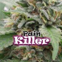 Dr Underground -Painkiller - 2 Fem