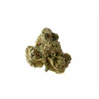 Amsterdam Genetics - AK OG Kush 3 fem