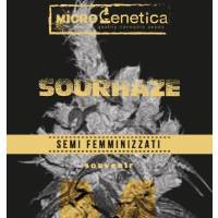Microgenetica - Sour Haze - 5 fem