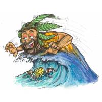 Quantamon Seeds - Tsunami Haze - 5 fem