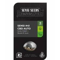 Sensi Seeds - Sensi #41 CBD - 5 auto