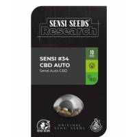 Sensi Seeds - Sensi #34 CBD - 3 auto