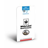 White Label - White Gorilla Haze - 5 Fem