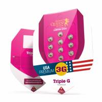  Royal Queen Seeds - Triple G (USA) - 10 Fem