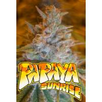 Microgenetica -  Papaya Sunrise - 5 fem