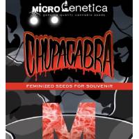 Microgenetica - Chupacabra - 10 Fem